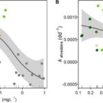 Frontiers | Relationship between tropical leaf phenology and ecosystem ...