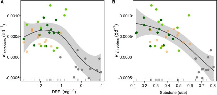 Frontiers | Relationship between tropical leaf phenology and ecosystem ...
